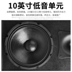 狮乐（SHILE）BX-505专业无源音箱10英寸多功能厅舞台会议室报告厅舞蹈室音响一对