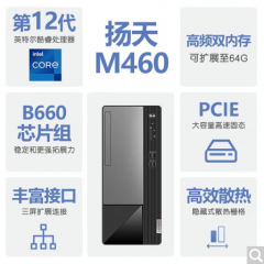 联想（Lenovo）扬天M460G6900双核商用企业办公电脑主机标配8G 512G集显WIN11