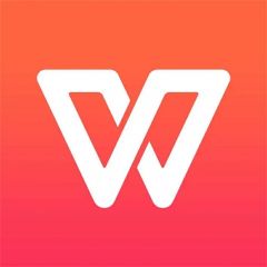 金山软件WPS+云办公软件商业标准版（一年授权）（套）