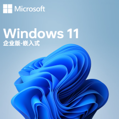 微软Windows11企业版（套）