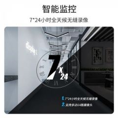 海康威视WD20PURX监控硬盘紫盘2TB（块）