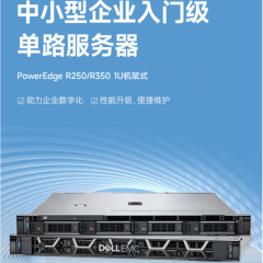 戴尔（DELL）服务器/R3501U机架式主机/至强E-2314/8G内存/1TB硬盘
